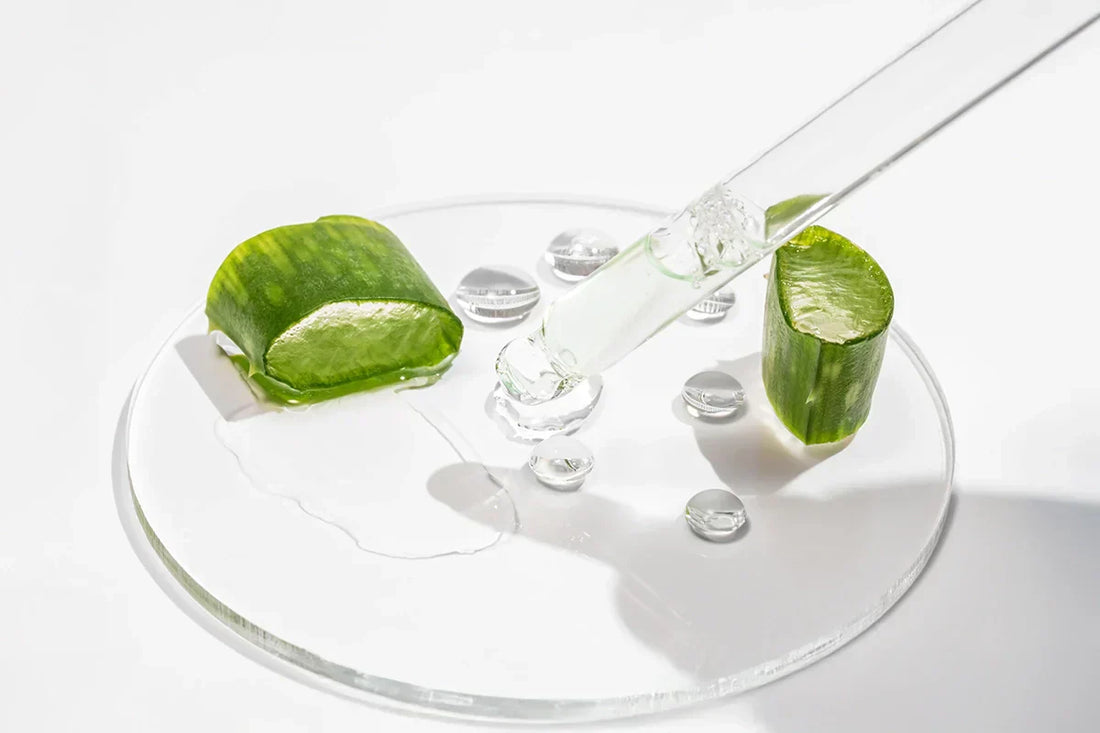 Aloe Vera skincare essential