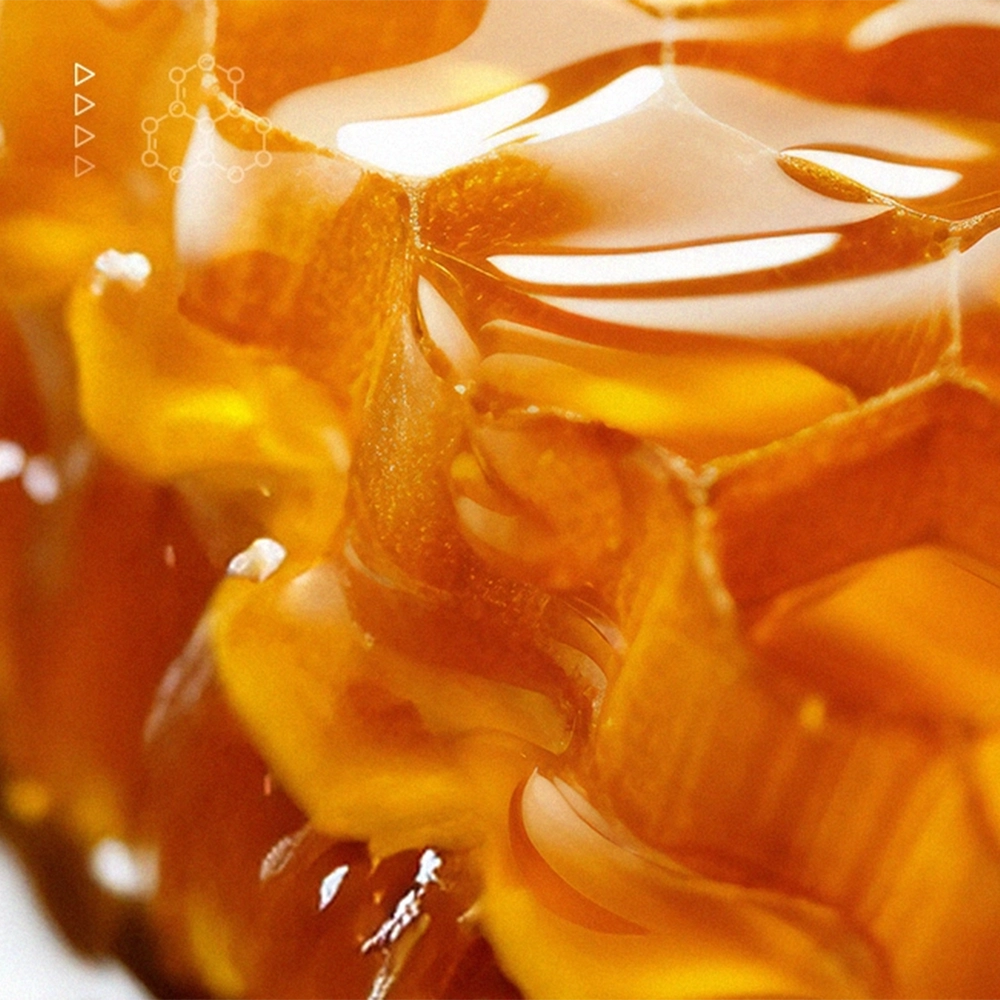 honey rich in antioxidants, made by bees at Max Biocare’s Australian research park.