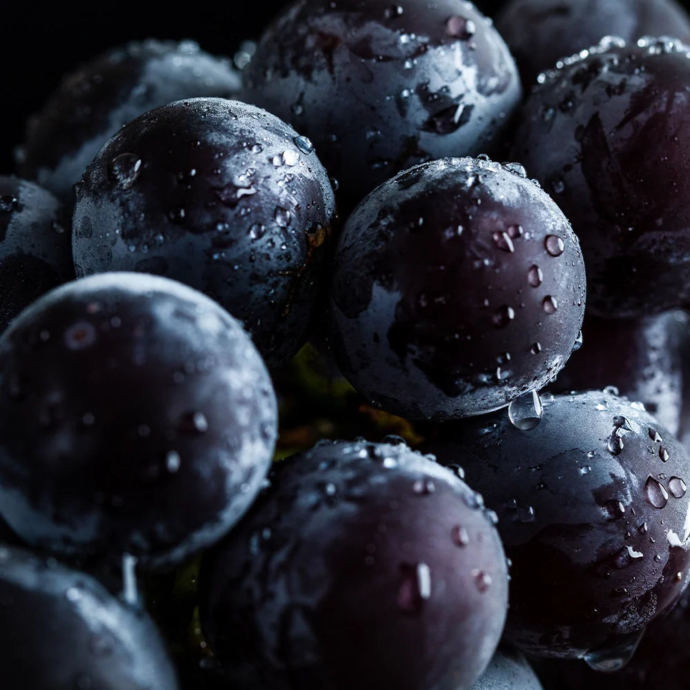 Antioxidant skincare with Uvalife® Antioxidant Blend, featuring whole grape extracts to fight free radicals and support calm, healthy skin.