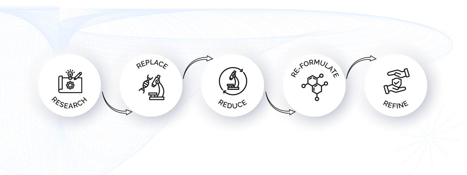 Skincare research process icons