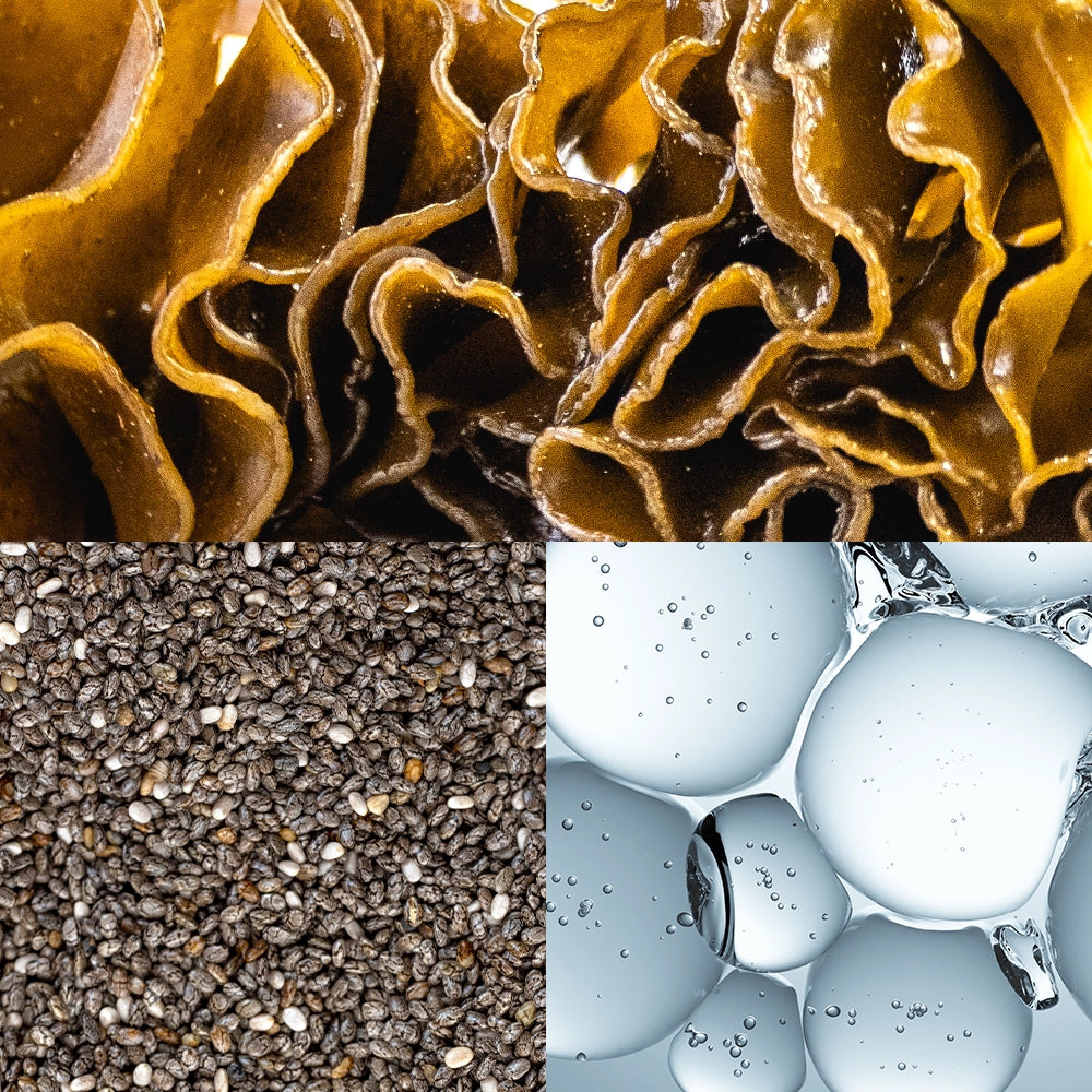 Sallowood blend ingredients for skincare: brown bark, chia seeds, and clear liquid droplets.