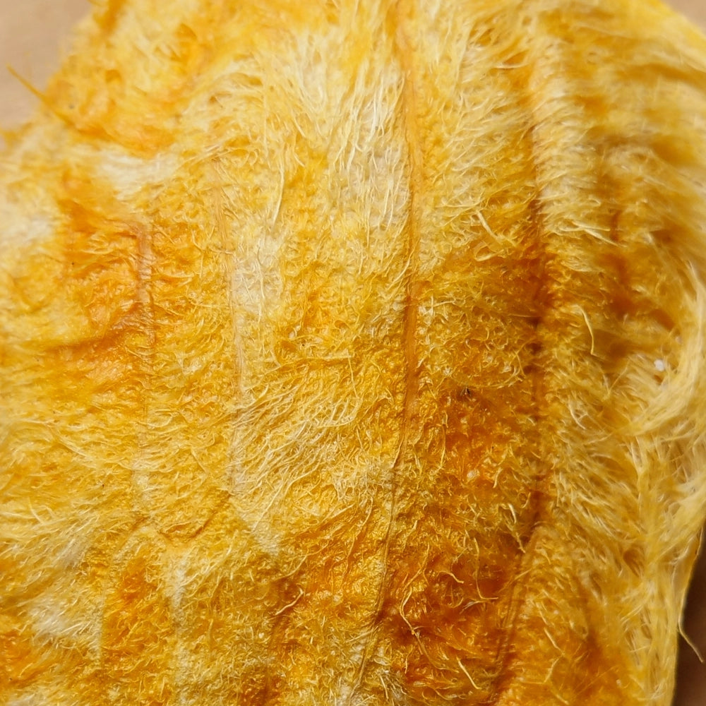 Salvarity Mango Seed Skincare Ingredient