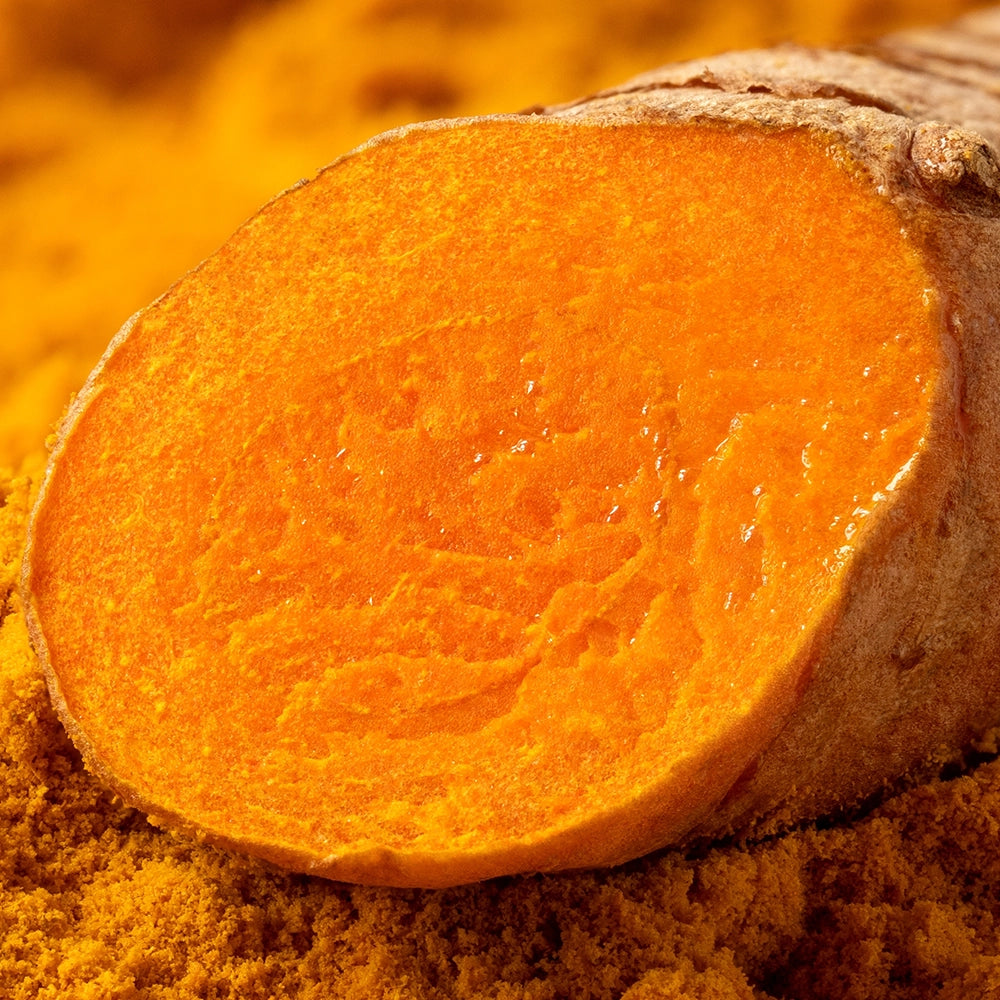 Close-up of turmeric root slice highlighting natural curcumin for skin brightening and antioxidant protection.