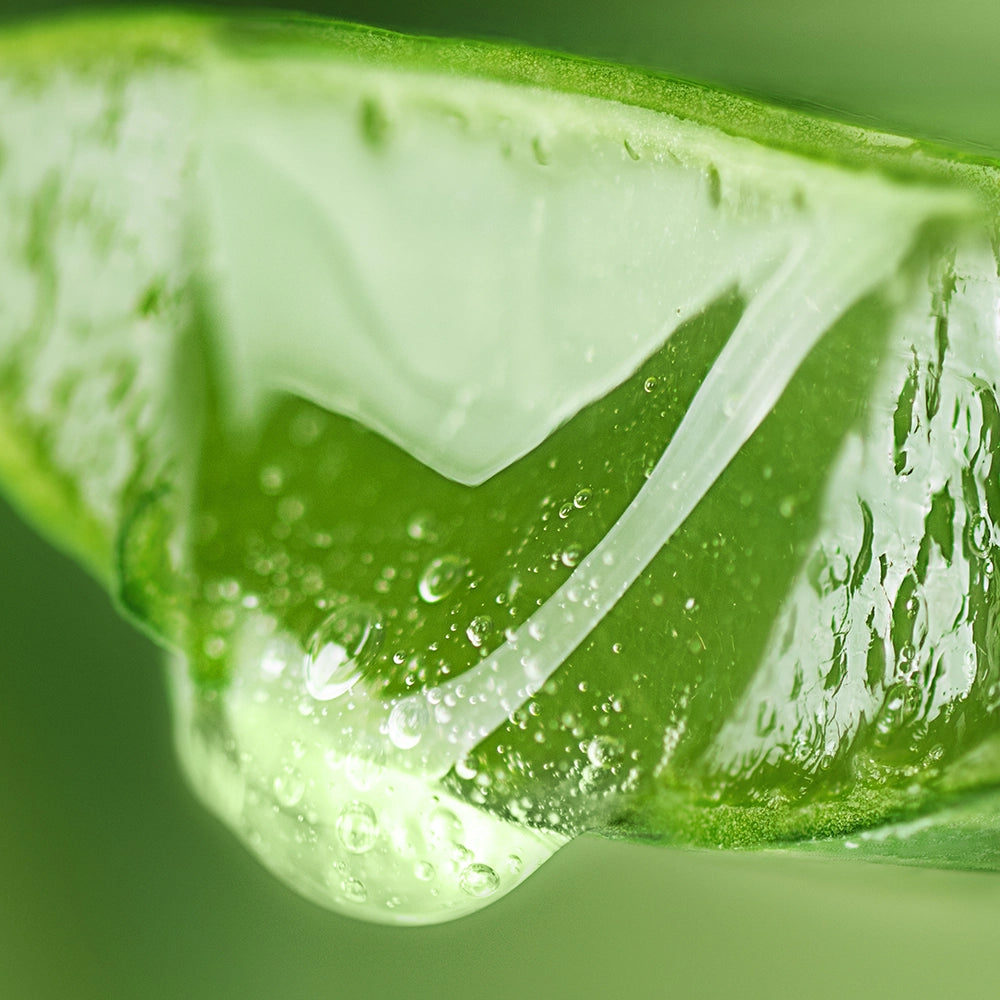 Aloe Vera gel with moisturising and soothing properties for skin hydration and repair.